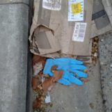deurne leeft handschoenen op de grond