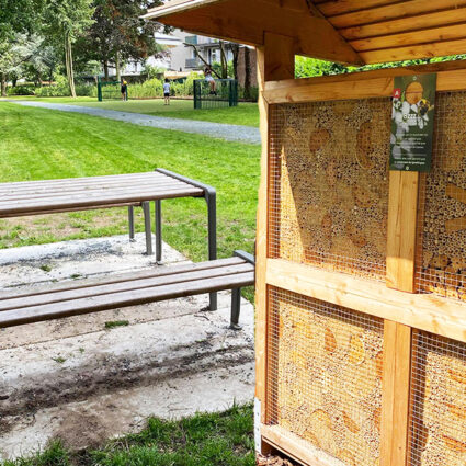 deurne leeft bisschoppenhofpark nieuwe picknicktafel bloemen in bloem bijen