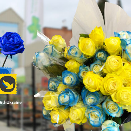 deurne leeft stand with ukraine blauw gele rozen