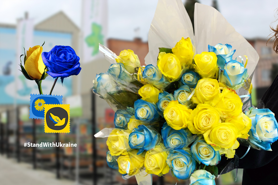deurne leeft stand with ukraine blauw gele rozen